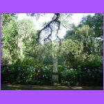 Rosedown Plantation Garden 6.jpg